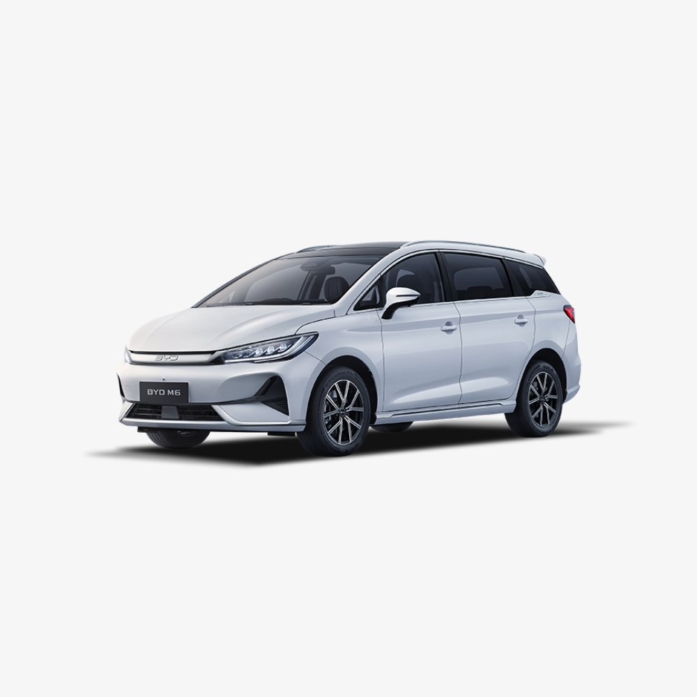 BYD M6